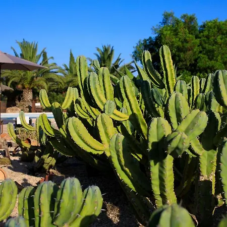 Semesterbostad Finca Son Yador Campos (Mallorca)